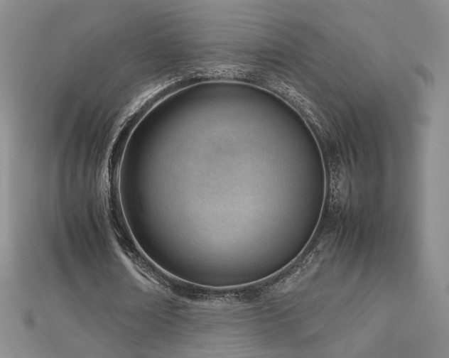 X0000112810674200908211145