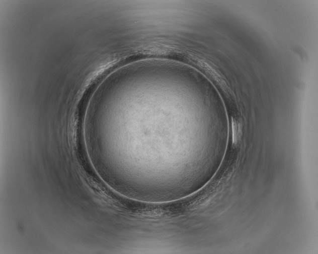X0000112810675200908211145