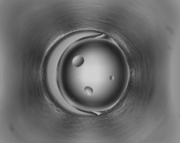 X0000112810676200908211145