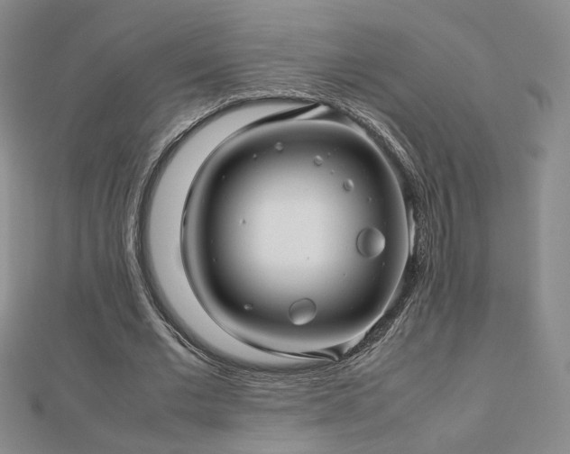 X0000112810677200908211145
