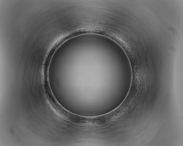 X0000112810678200908211145