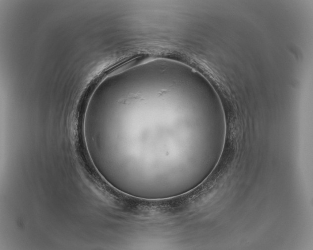 X0000112810679200908211145