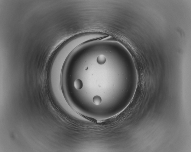 X0000112810680200908211145