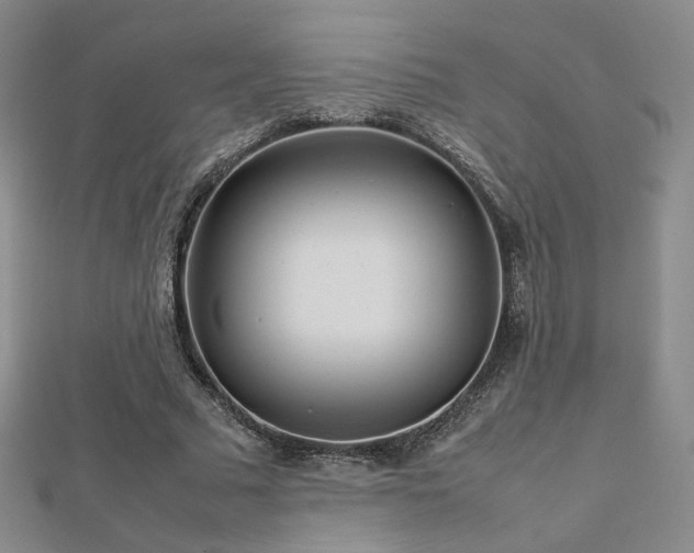 X0000112810681200908211144