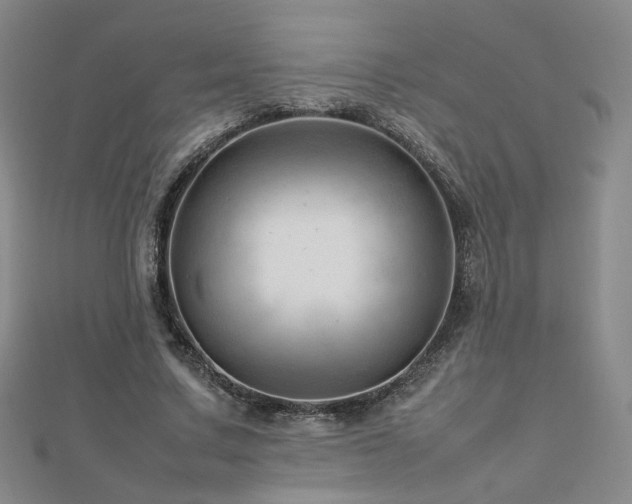 X0000112810683200908211144