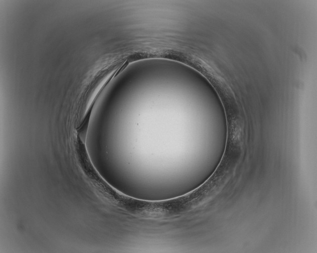 X0000112810685200908211144
