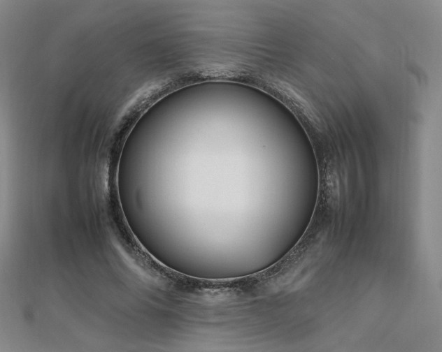 X0000112810686200908211144