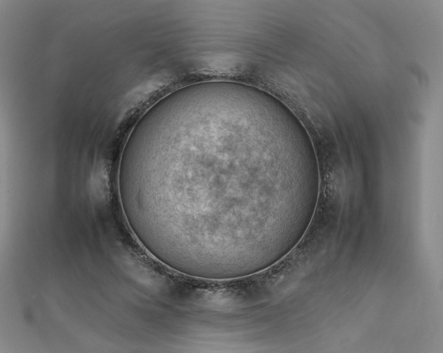 X0000112810688200908211144