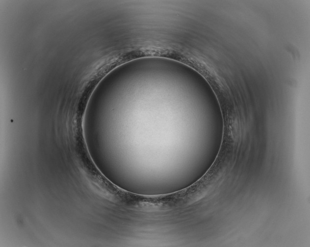 X0000112810690200908211144