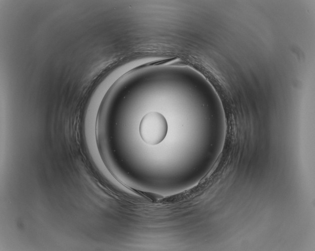 X0000112810692200908211144