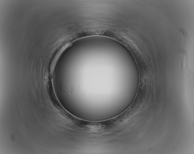 X0000112810693200908211144