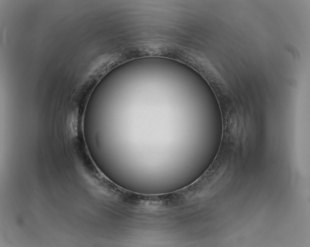 X0000112810694200908211144