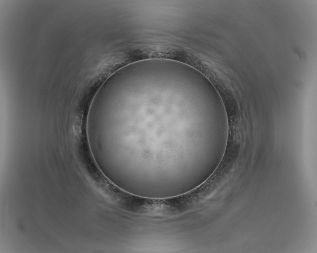 X0000112810695200908211144