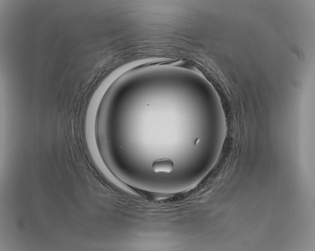 X0000112810697200908211144