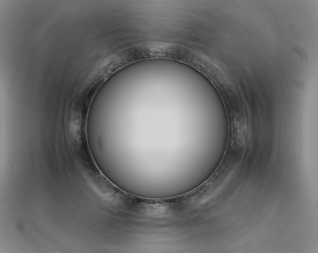 X0000112810698200908211144