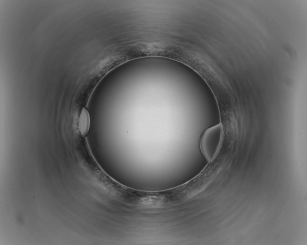 X0000112810700200908211144