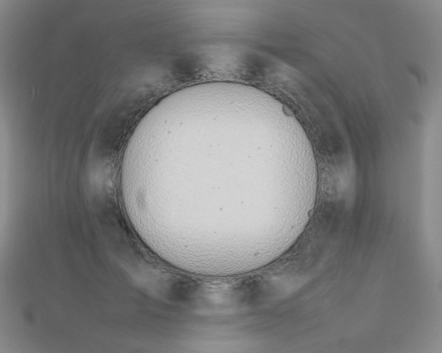 X0000112810701200908211144