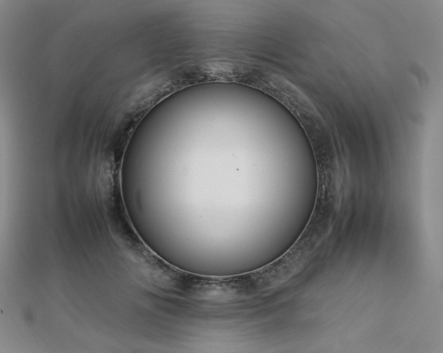 X0000112810702200908211144