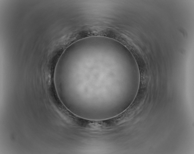 X0000112810703200908211144