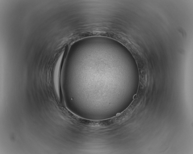 X0000112810704200908211144
