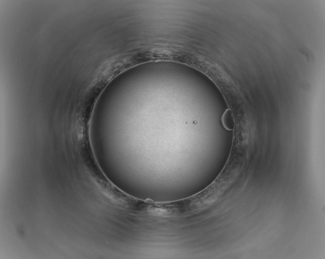 X0000112810706200908211144