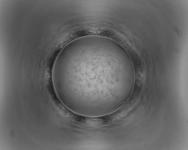 X0000112810707200908211144