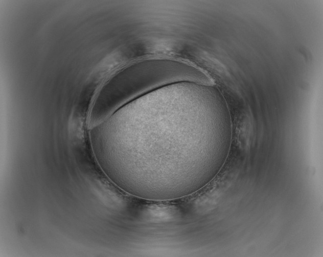 X0000112810708200908211144