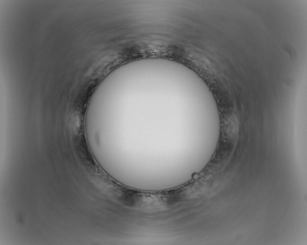 X0000112810709200908211144