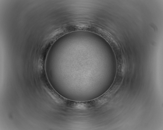 X0000112810710200908211144