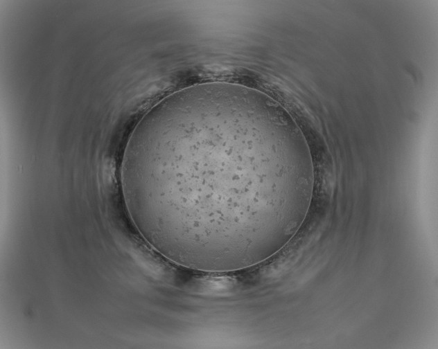 X0000112810711200908211144
