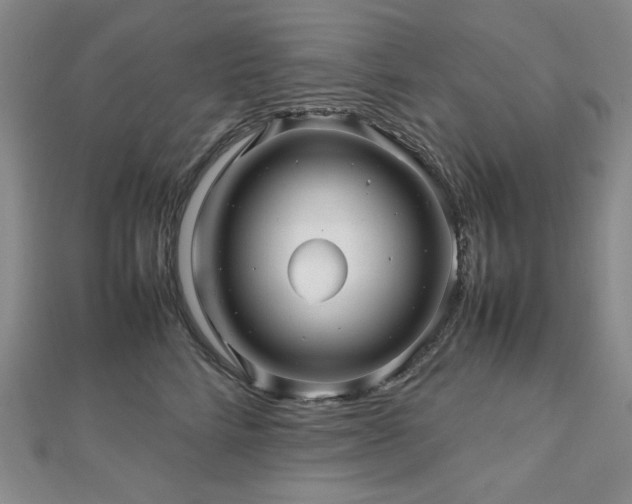 X0000112810712200908211144
