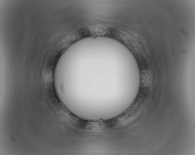 X0000112810713200908211144