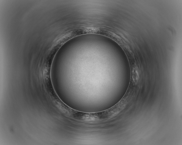 X0000112810714200908211144