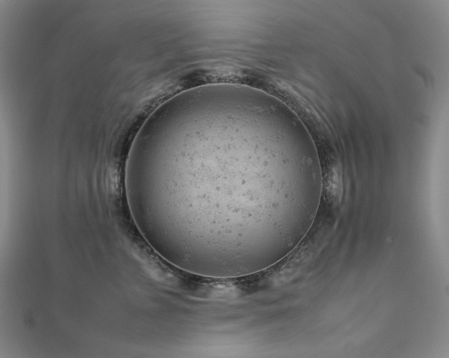X0000112810715200908211144
