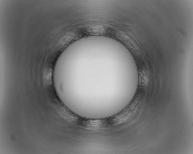 X0000112810717200908211144