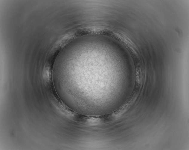 X0000112810718200908211144