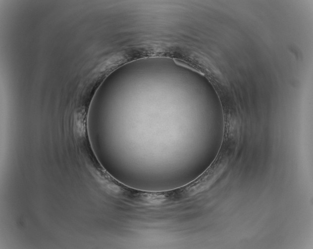 X0000112810719200908211144