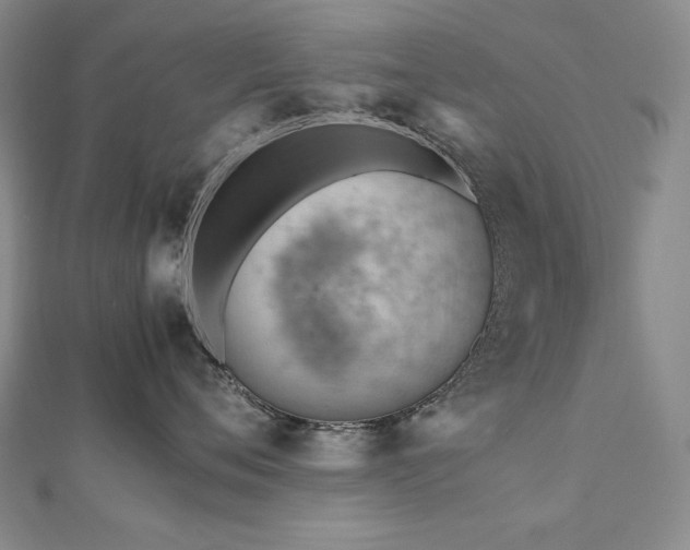 X0000112810720200908211144
