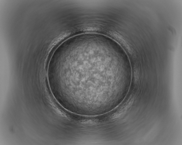 X0000112810721200908211143