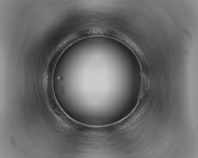 X0000112810722200908211143