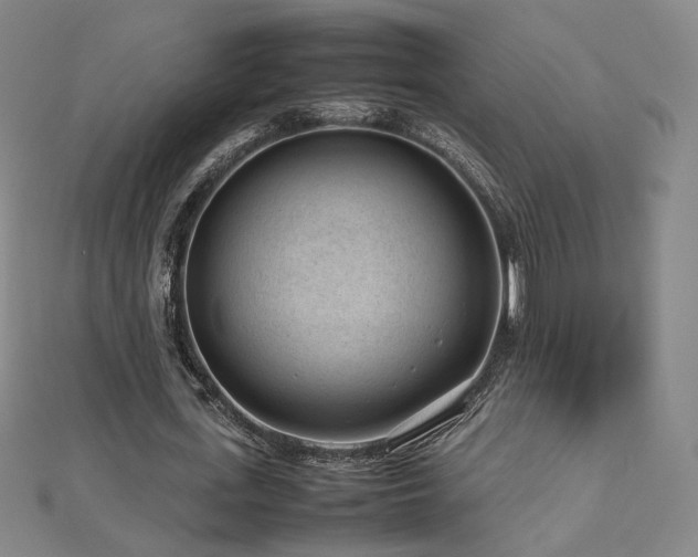 X0000112810723200908211143