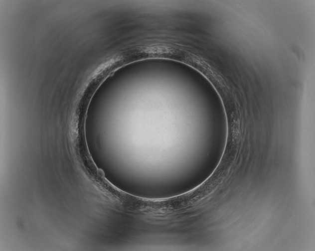 X0000112810727200908211143