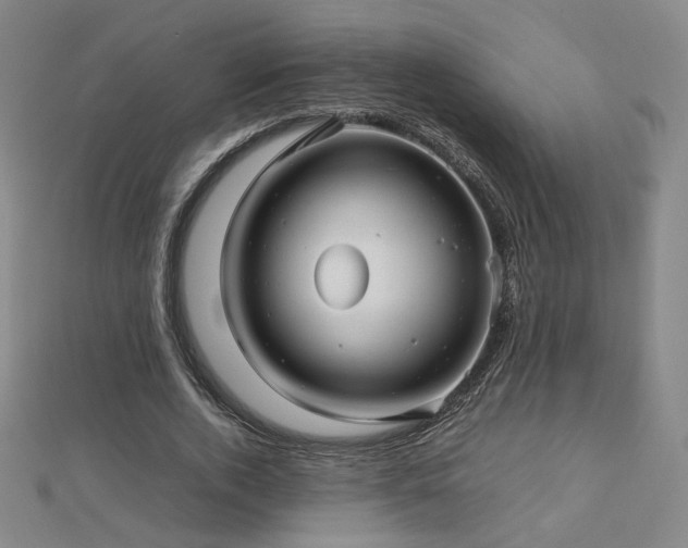 X0000112810728200908211143