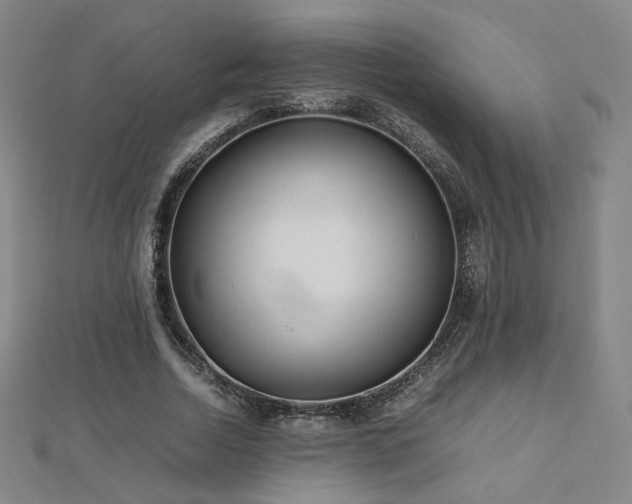 X0000112810730200908211143