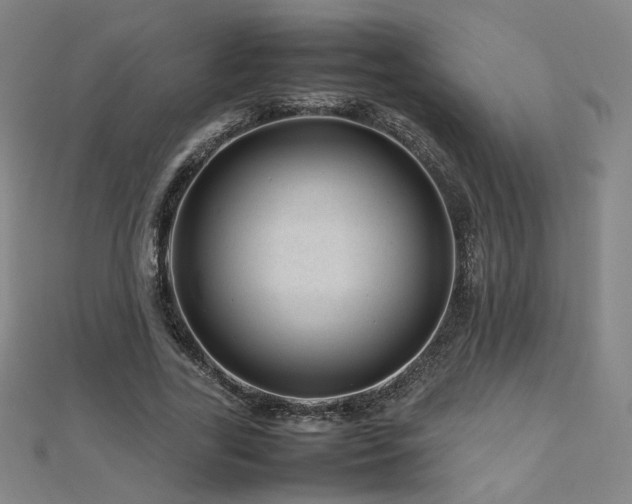 X0000112810731200908211144