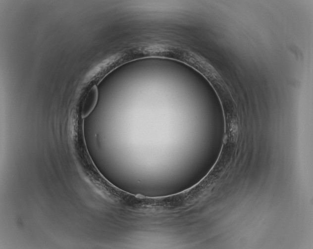 X0000112810732200908211144
