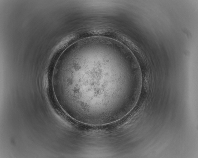 X0000112810734200908211144