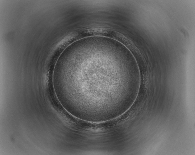 X0000112810735200908211144