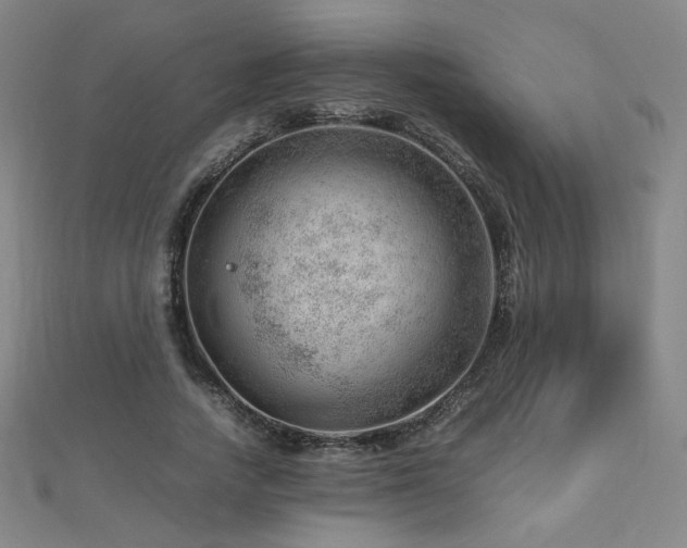 X0000112810738200908211144