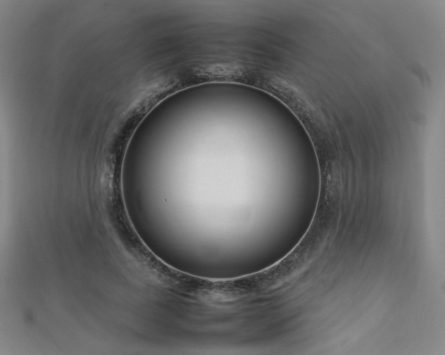 X0000112810739200908211144